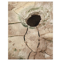 Mudpot or hole flyers