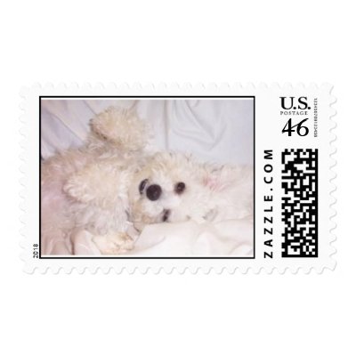 Muffie on Bed Stamps by starr71
