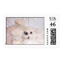 Muffie on Bed postage by starr71 Muffie on Bed postage