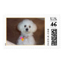 Muffie postage by starr71 Muffie postage