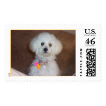 Muffie postage