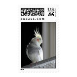 Muffin the Cockatiel stamps