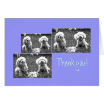 muffy and travelerpaint daubs, muffy and travel... cards