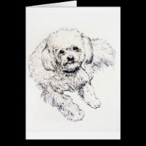 Muffy : Ink drawing cards