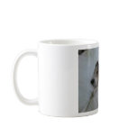 Mug Mug