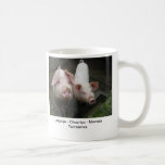Mug mugs
