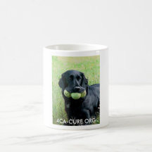 MUG 4CA-CURE.ORG