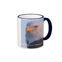 Mug / Bald Eagle