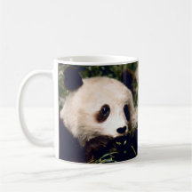 Mug ~ Double Sweet PANDA MUNCHING ON BAMBOO