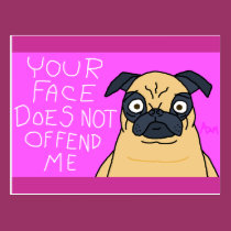Mug of a Pug Postcard postcards