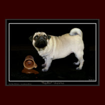 "MUG SHOT" Pug Poster posters by RavenSpiritPrints "MUG SHOT" Pug Poster posters