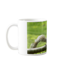 Mug-Squirell