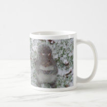 Mug: Squirrel mugs