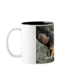 Mug:  Starfish Love from PNW