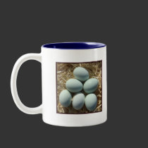 Mug - Wheaten Ameraucana Chicks mugs