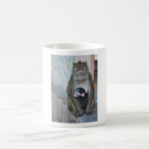 Mug- wild Macaque monkey and baby