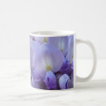 MUG - Wisteria in France