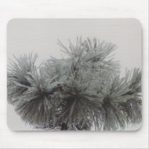 Mugo Pine - mousepad