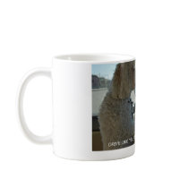 Mugs for Pet Lovers