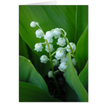 Muguet Greeting Cards