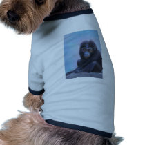 Muhali, Baby Gorilla pet clothing