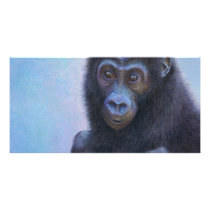 Muhali, Baby Gorilla Picture Card
