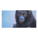 Muhali, Baby Gorilla Picture Card
