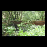 Muir Woods Bridge Sticker