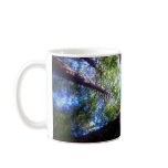 Muir Woods Mug