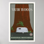 Muir Woods National Monument 1 Posters