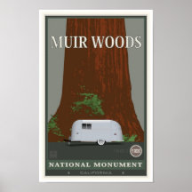 Muir Woods National Monument 1 Posters