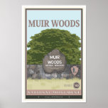 Muir Woods National Monument 2 Posters