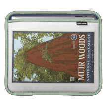 Muir Woods National Monument 3 iPad Sleeves