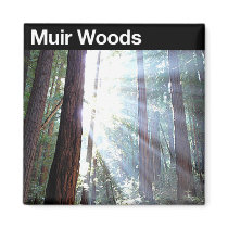 Muir Woods National Monument Refrigerator Magnet