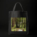 Muir Woods Path Bag