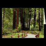 Muir Woods Path I Card