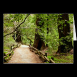 Muir Woods Path II Card