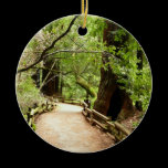Muir Woods Path Ornament