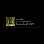 Muir Woods Path Return Address Label