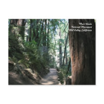 Muir Woods Post Card postcards