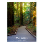 Muir Woods Walkway California Products Post Cards