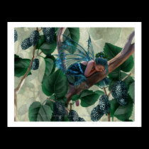 Mulberry Fairy posters