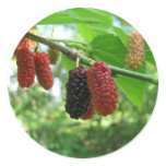 Mulberry Tree Sticker