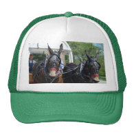 mule day parade mesh hats