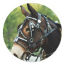 mule days sticker