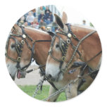 mule days round stickers