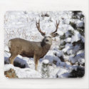 Mule Deer Buck mousepads