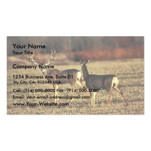 Mule Deer Business Card Template (front side)