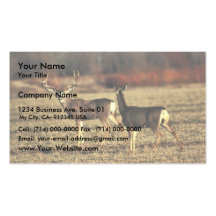 Mule Deer Business Card Template