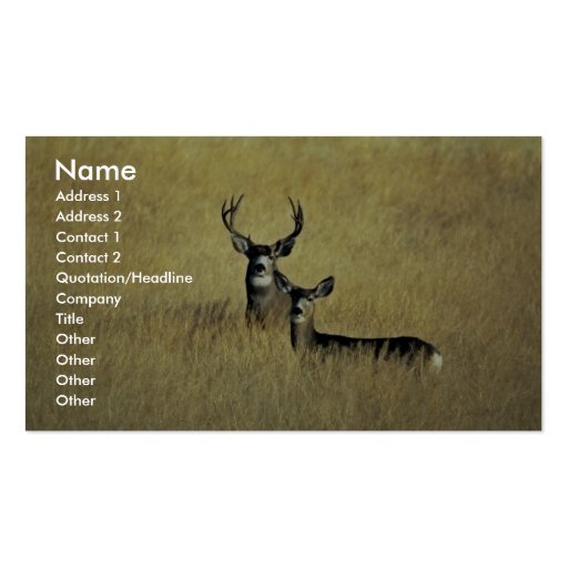 Mule Deer Business Cards (front side)